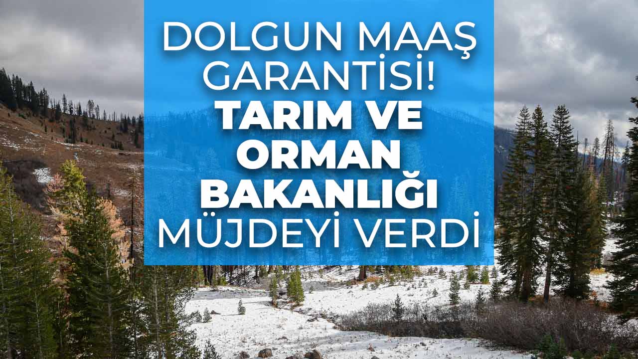 Tarım ve Orman Bakanlığı duyurdu! Yüksek maaşla personel alımı başladı