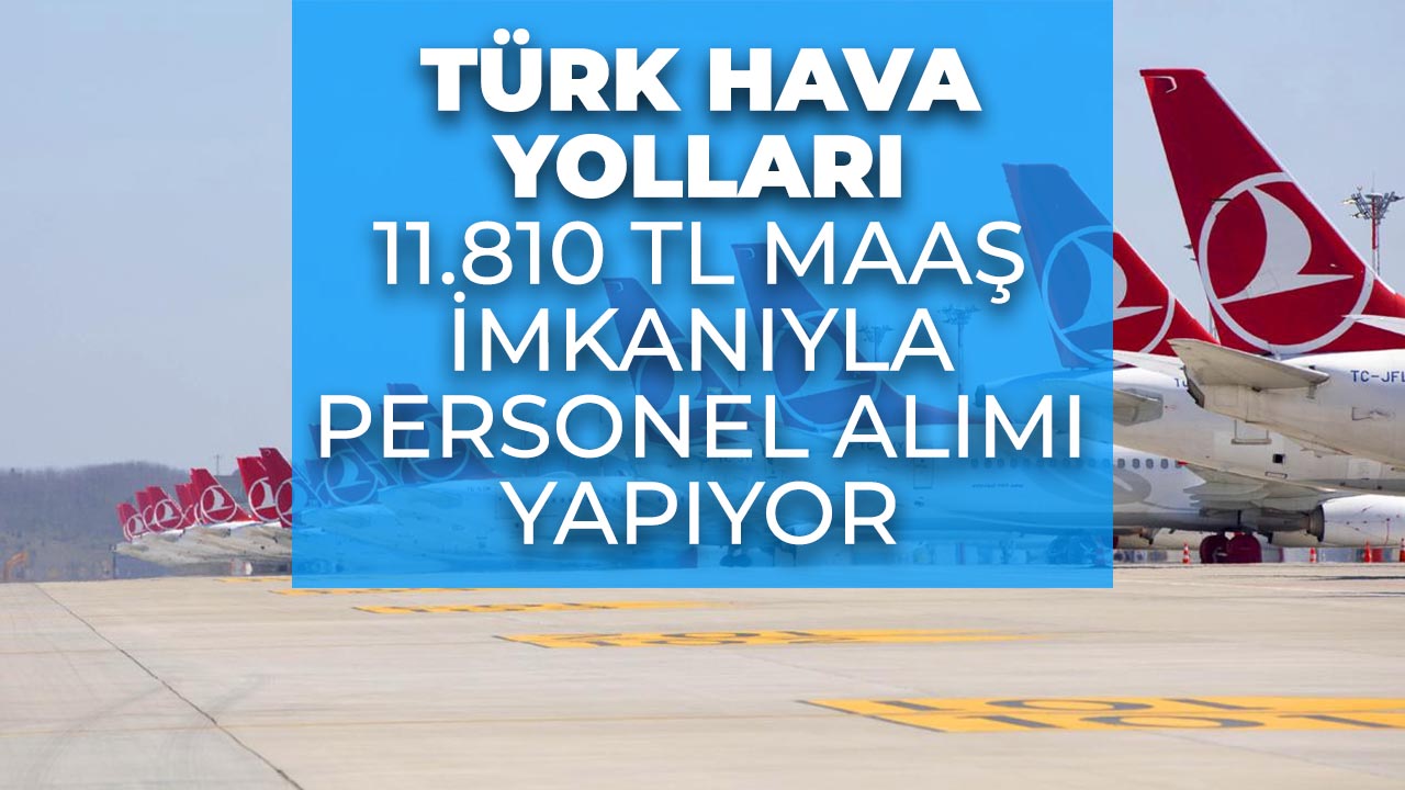 Türk Hava Yolları personel alımı yapıyor! Yüksek maaş garantisi verildi