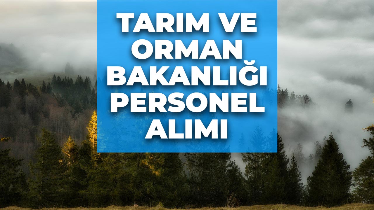 Tarım ve Orman Bakanlığı'ndan KPSS şartsız memur alımı!